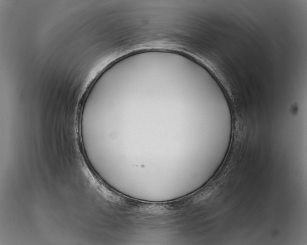 X0000115500998200912041034