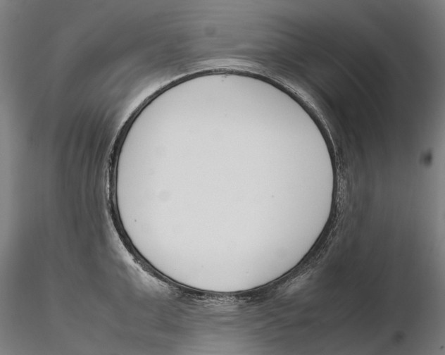 X0000115500999200912041034