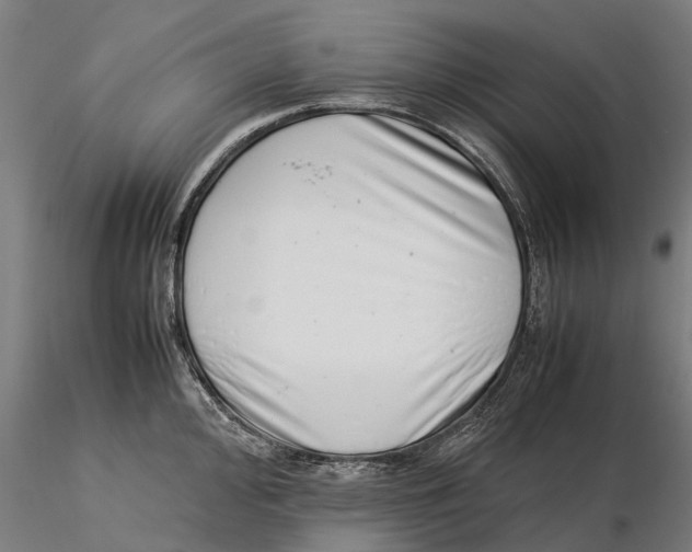 X0000115501000200912041034