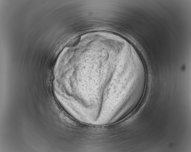 X0000115501001200912041034