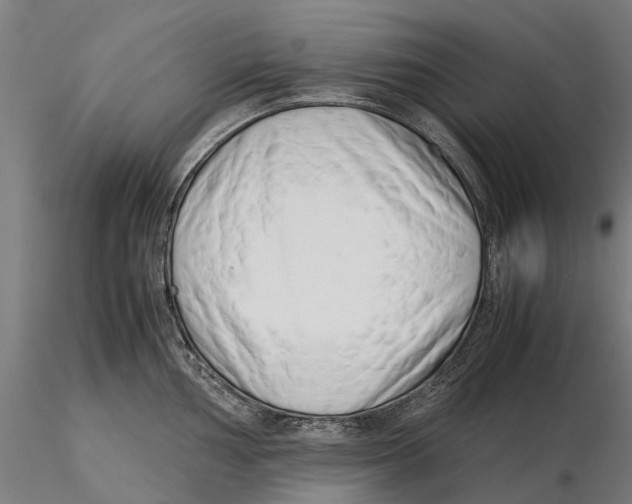 X0000115501002200912041034