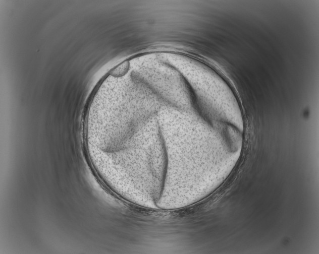 X0000115501003200912041034