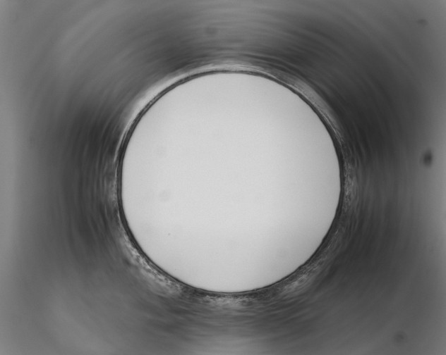 X0000115501004200912041034