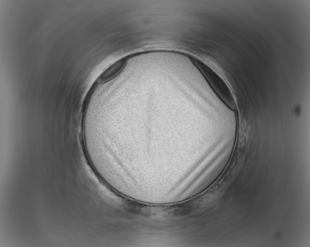 X0000115501005200912041034