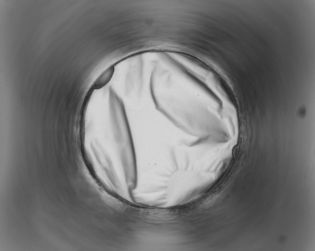 X0000115501007200912041034