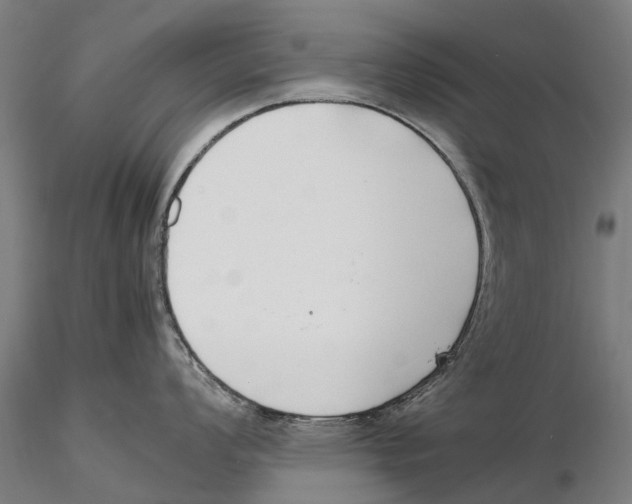 X0000115501008200912041034
