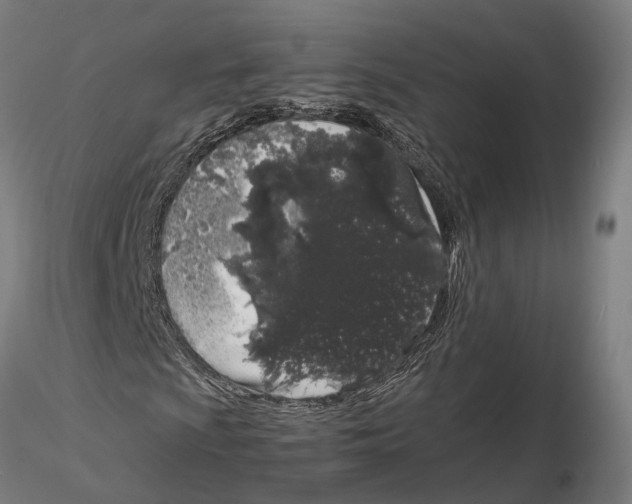 X0000115501009200912041033