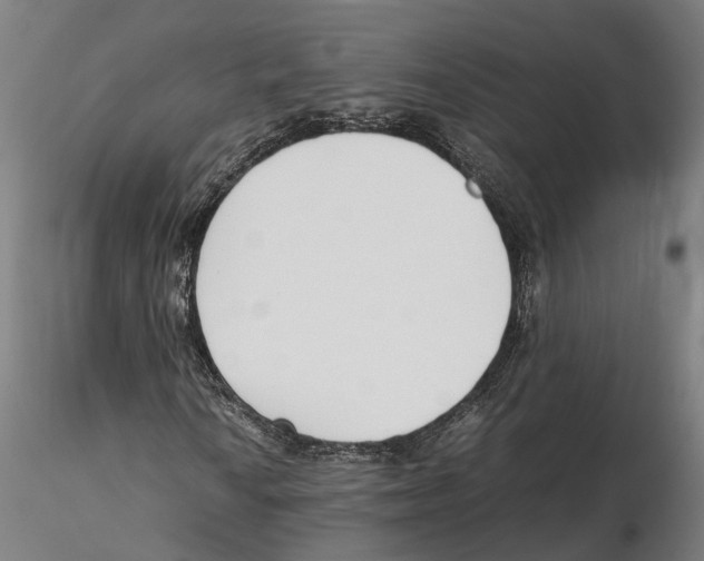 X0000115501010200912041033