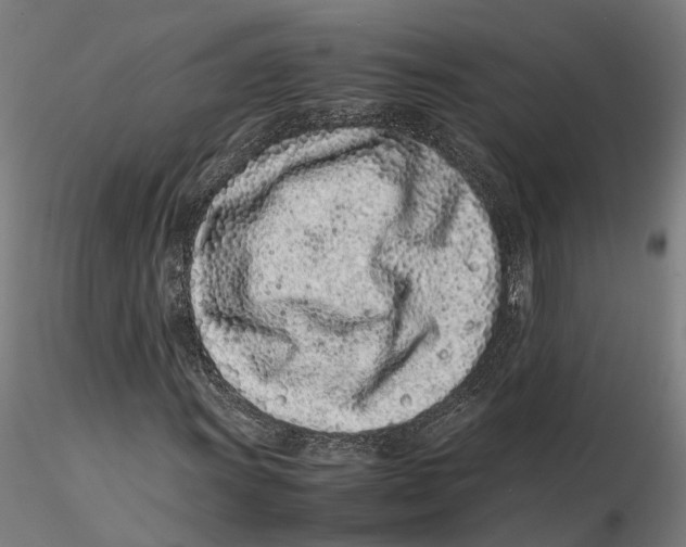 X0000115501011200912041033