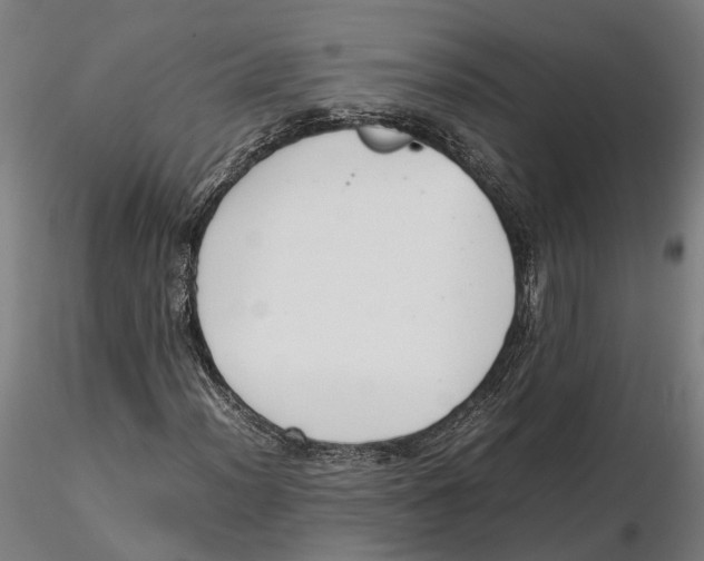 X0000115501012200912041033