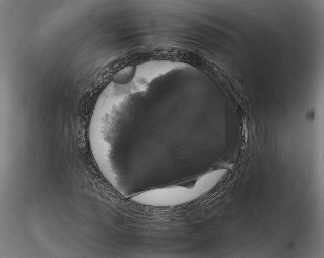 X0000115501013200912041033