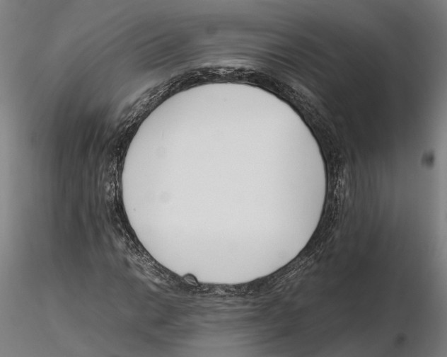 X0000115501014200912041033