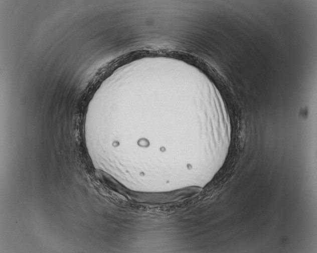 X0000115501016200912041033