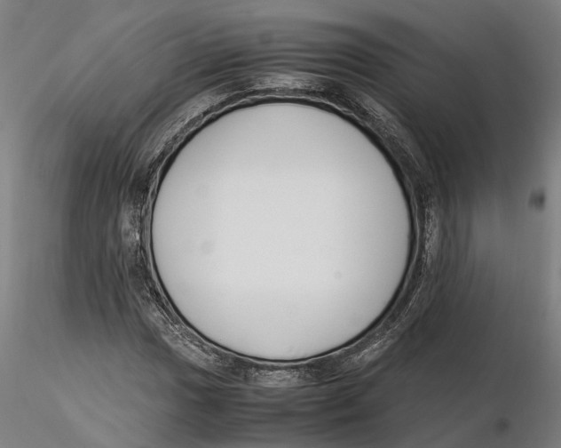 X0000115501017200912041033