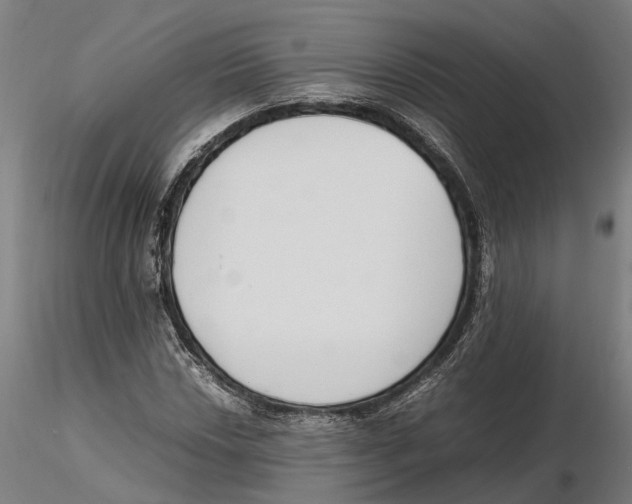 X0000115501018200912041033