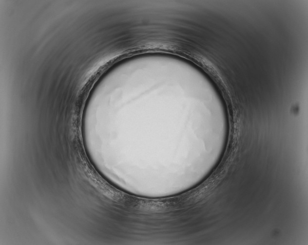 X0000115501019200912041033