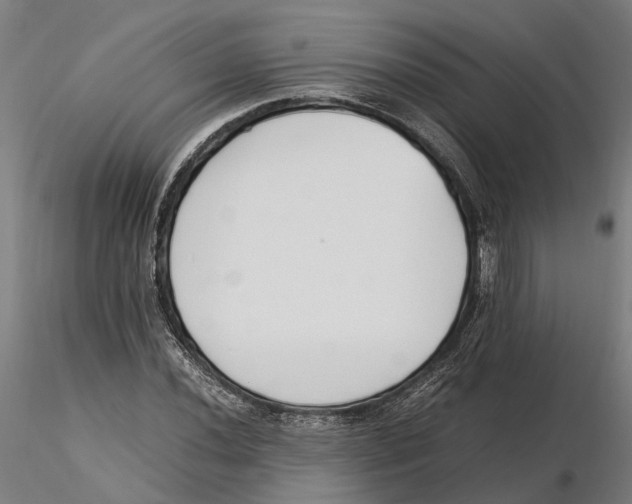 X0000115501020200912041033
