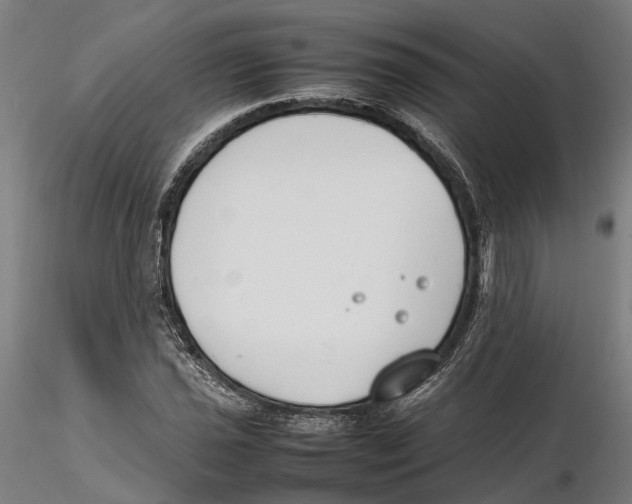X0000115501021200912041033