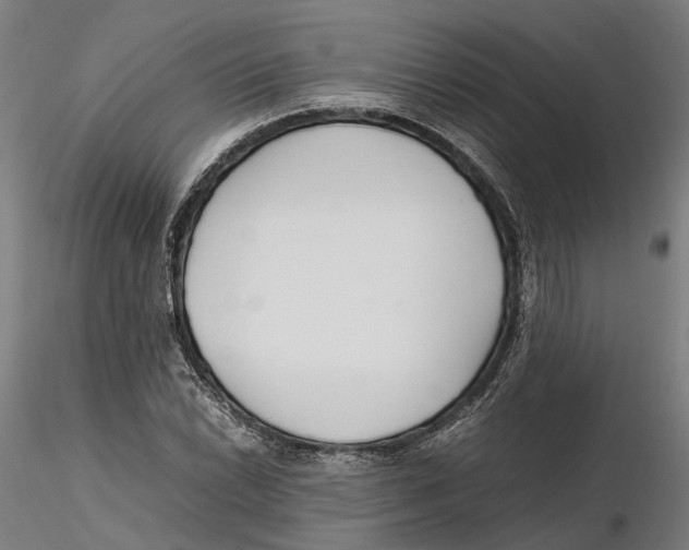 X0000115501022200912041033