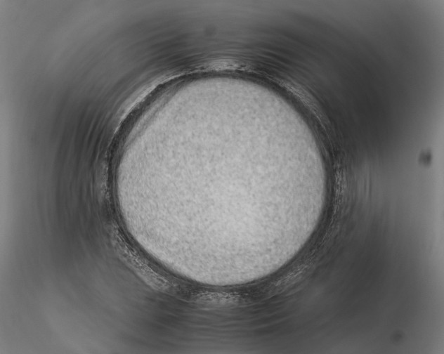 X0000115501023200912041033