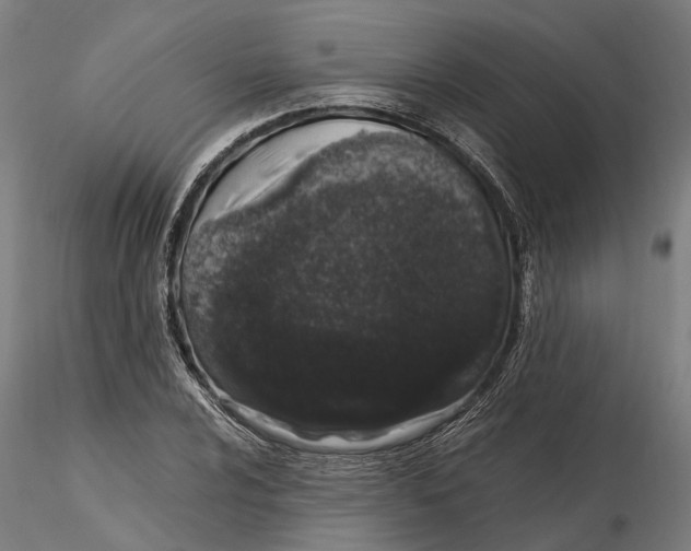 X0000115501024200912041033