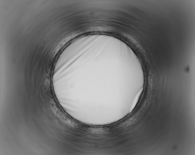 X0000115501025200912041033