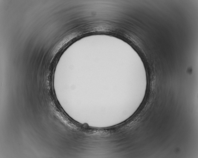 X0000115501026200912041033