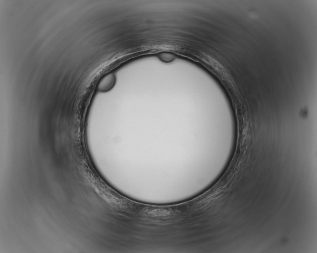 X0000115501027200912041033