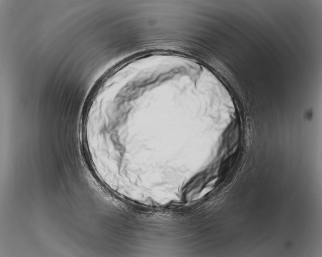 X0000115501028200912041033