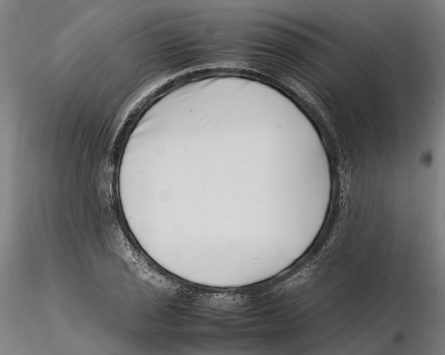 X0000115501029200912041033