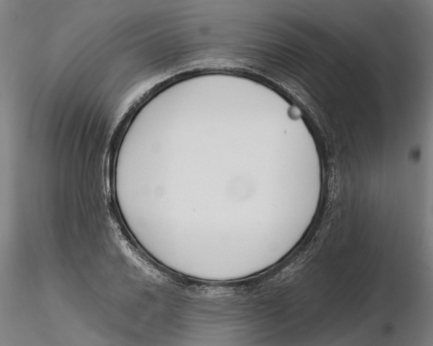 X0000115501030200912041033