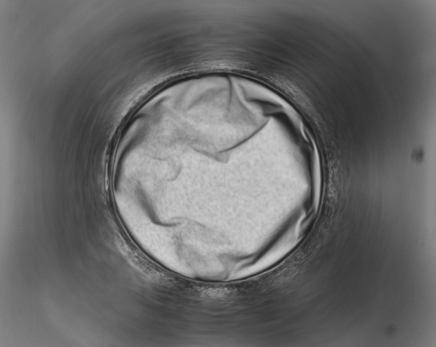 X0000115501031200912041033