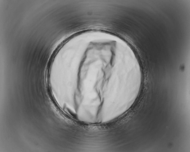 X0000115501032200912041033