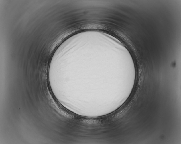 X0000115501033200912041033
