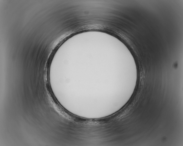 X0000115501034200912041033