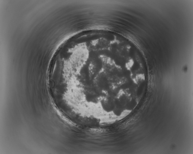 X0000115501037200912041033