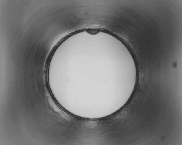 X0000115501038200912041033