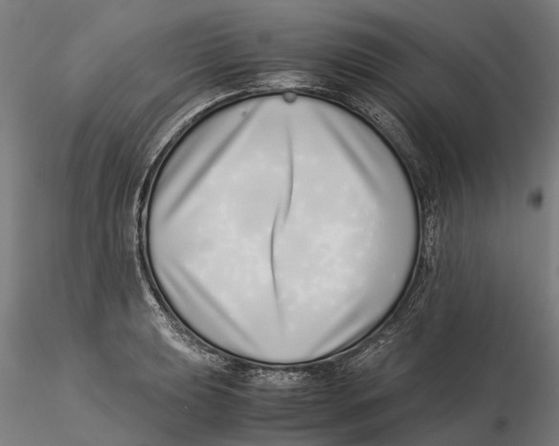 X0000115501039200912041033