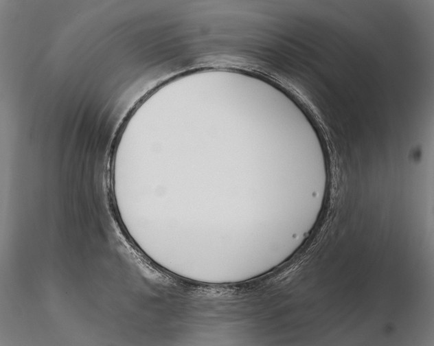 X0000115501040200912041033