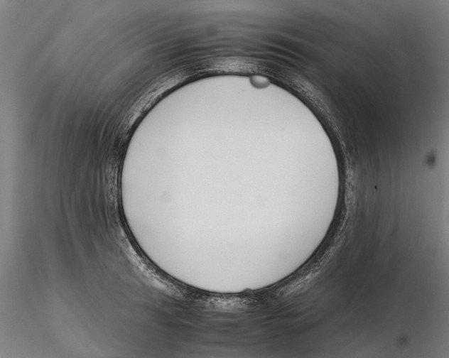 X0000115501041200912041033