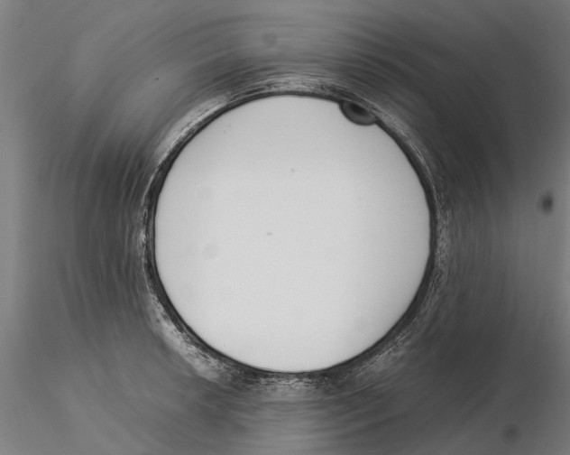 X0000115501042200912041033