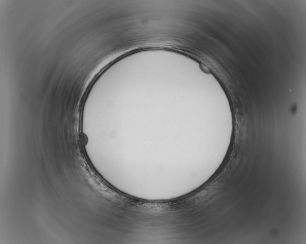X0000115501044200912041034