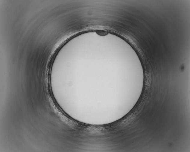 X0000115501046200912041034