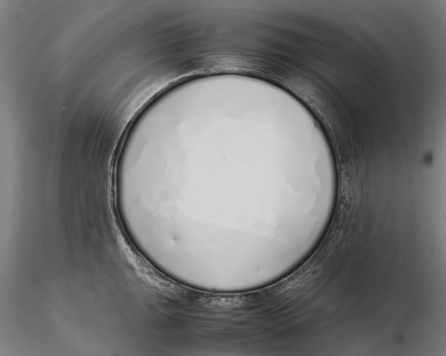X0000115501047200912041034