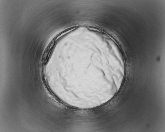 X0000115501048200912041034