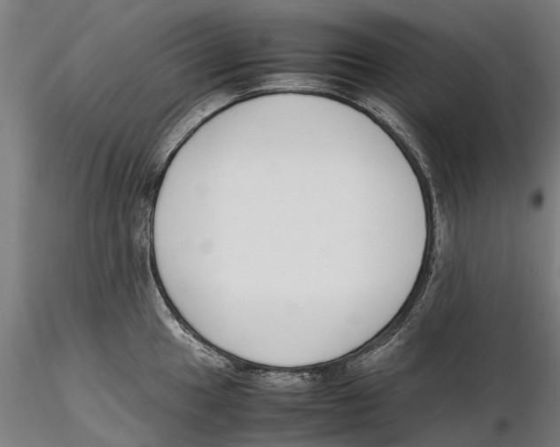 X0000115501049200912041034