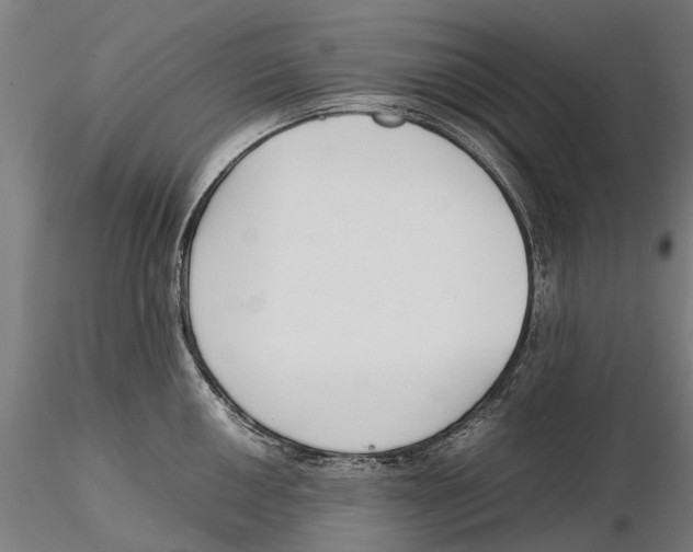 X0000115501050200912041034