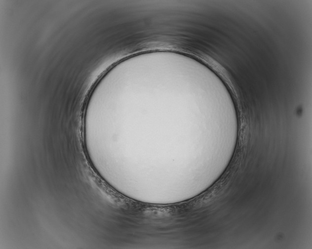 X0000115501051200912041034