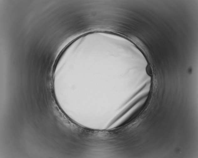 X0000115501052200912041034