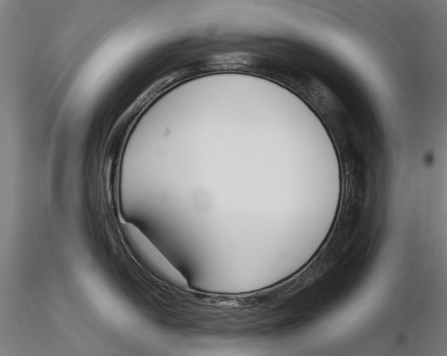 X0000115501054200912041034